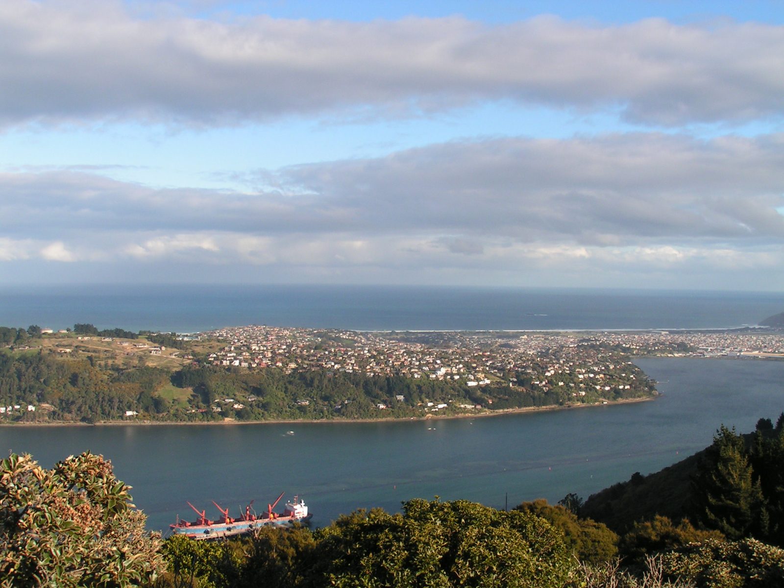 A New Zealand harbour seen from a hilltop